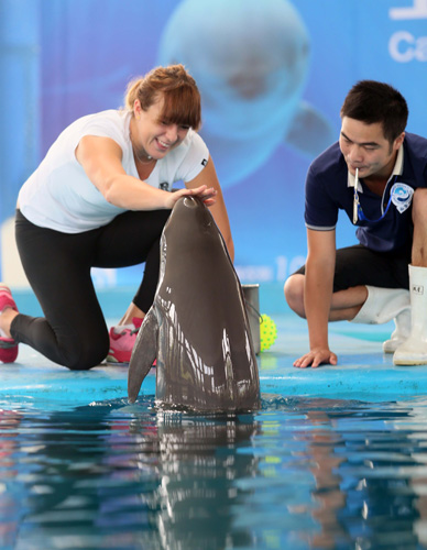 马来西亚和 马来西亚和