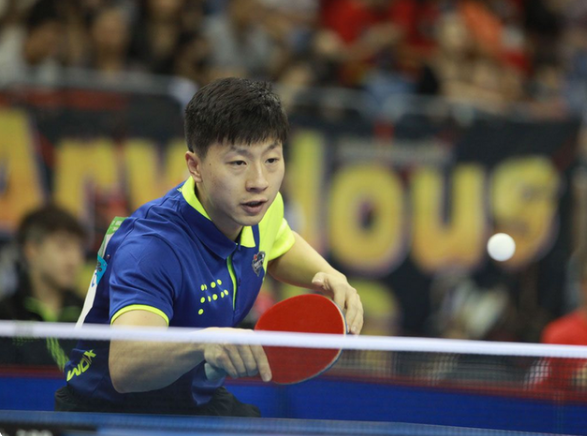 增添了不少 增添了不少